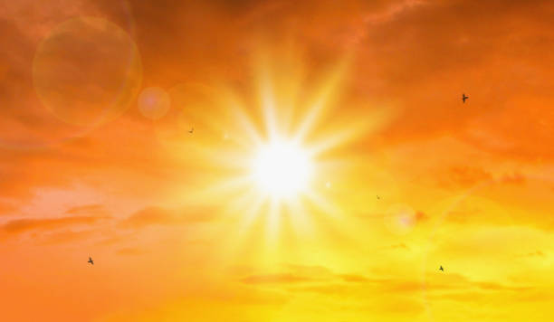 Hyderabad Records Hottest Day at 42.6°C, Relief Expected After Tomorrow