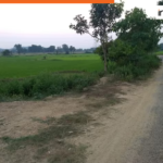 IAS, IPS officers invested in land before bypass clearance, prices jumped 11 times: Report