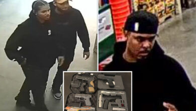 Illegal immigrants stole .2M in Apple tech outside Long Island mall: Feds
