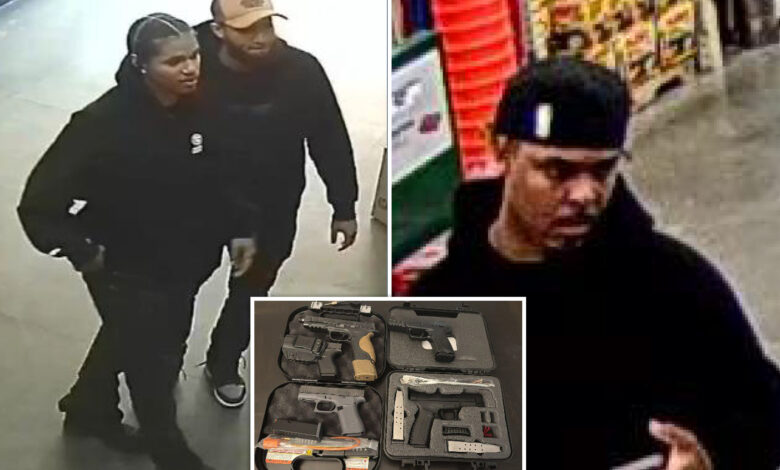 Illegal immigrants stole .2M in Apple tech outside Long Island mall: Feds