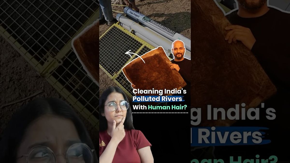 India Is Using Human Hair to Clean Rivers