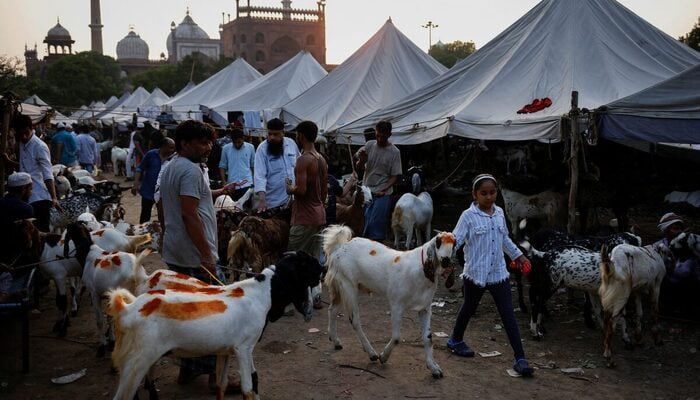 India bans cow, calf sacrifice, road blockades for Eid ul Adha prayer