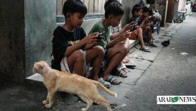 Indonesia eyes e-commerce ban for under-16s: minister to AFP