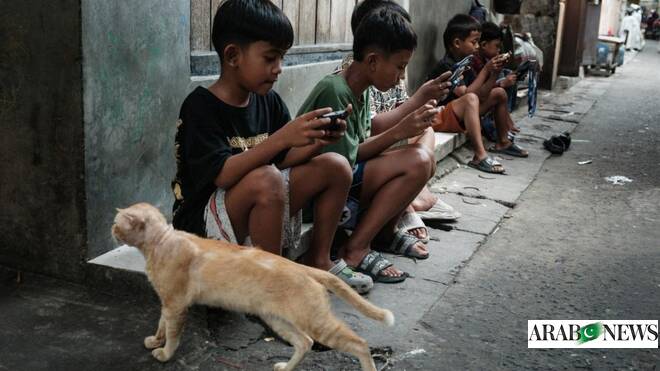 Indonesia eyes e-commerce ban for under-16s: minister to AFP
