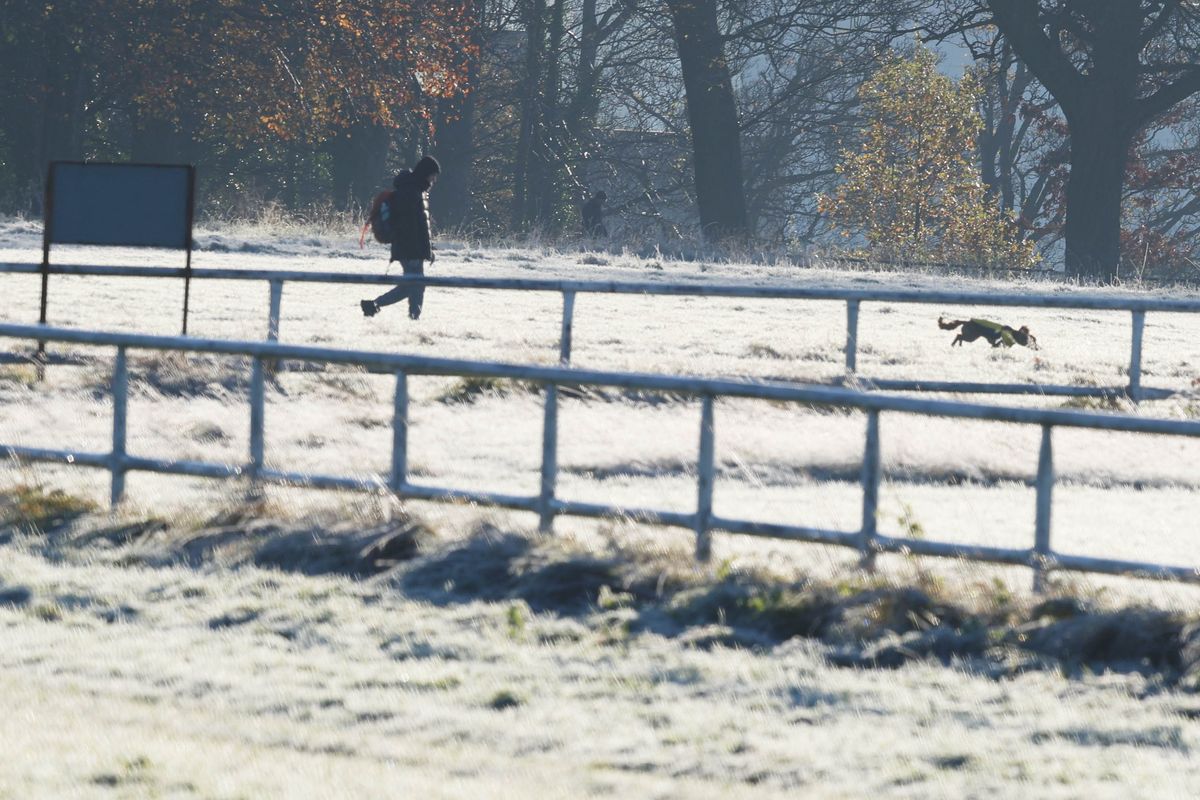 Ireland weather: Temperatures to drop to 1C as Met Éireann warns of frost
