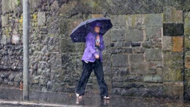 Ireland weather: Temperatures to drop to 2C as Met Eireann warns of unsettled showers