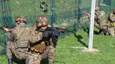 J-K: LoC on alert in Gurez as security intensifies on Operation Sindoor anniversary