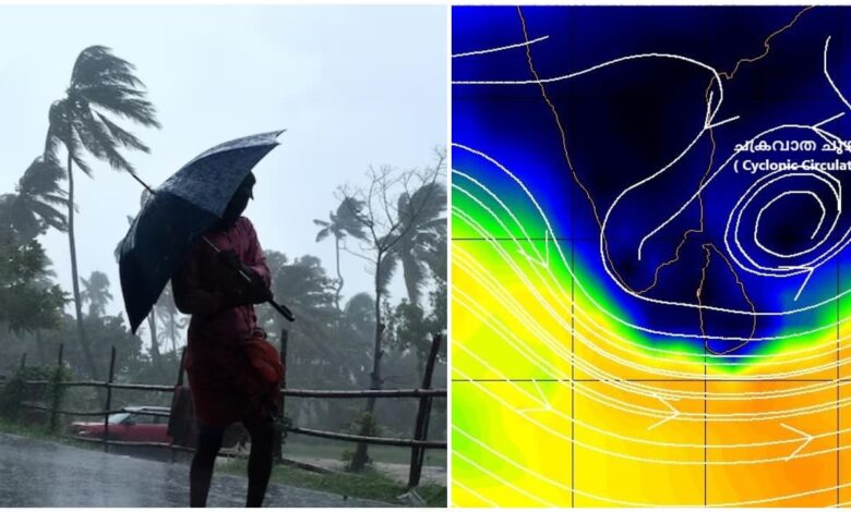 Kerala Rains: IMD Issues Yellow Alert In Kerala As Rainfall Activity Intensifies; Check Forecast