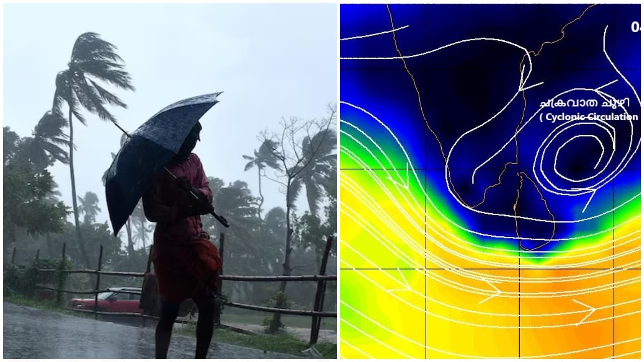 Kerala Rains: IMD Issues Yellow Alert In Kerala As Rainfall Activity Intensifies; Check Forecast