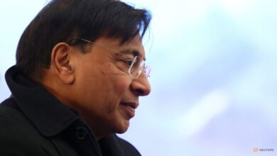 Lakshmi Mittal, Poonawalla-led group to buy IPL franchise for .65 billion
