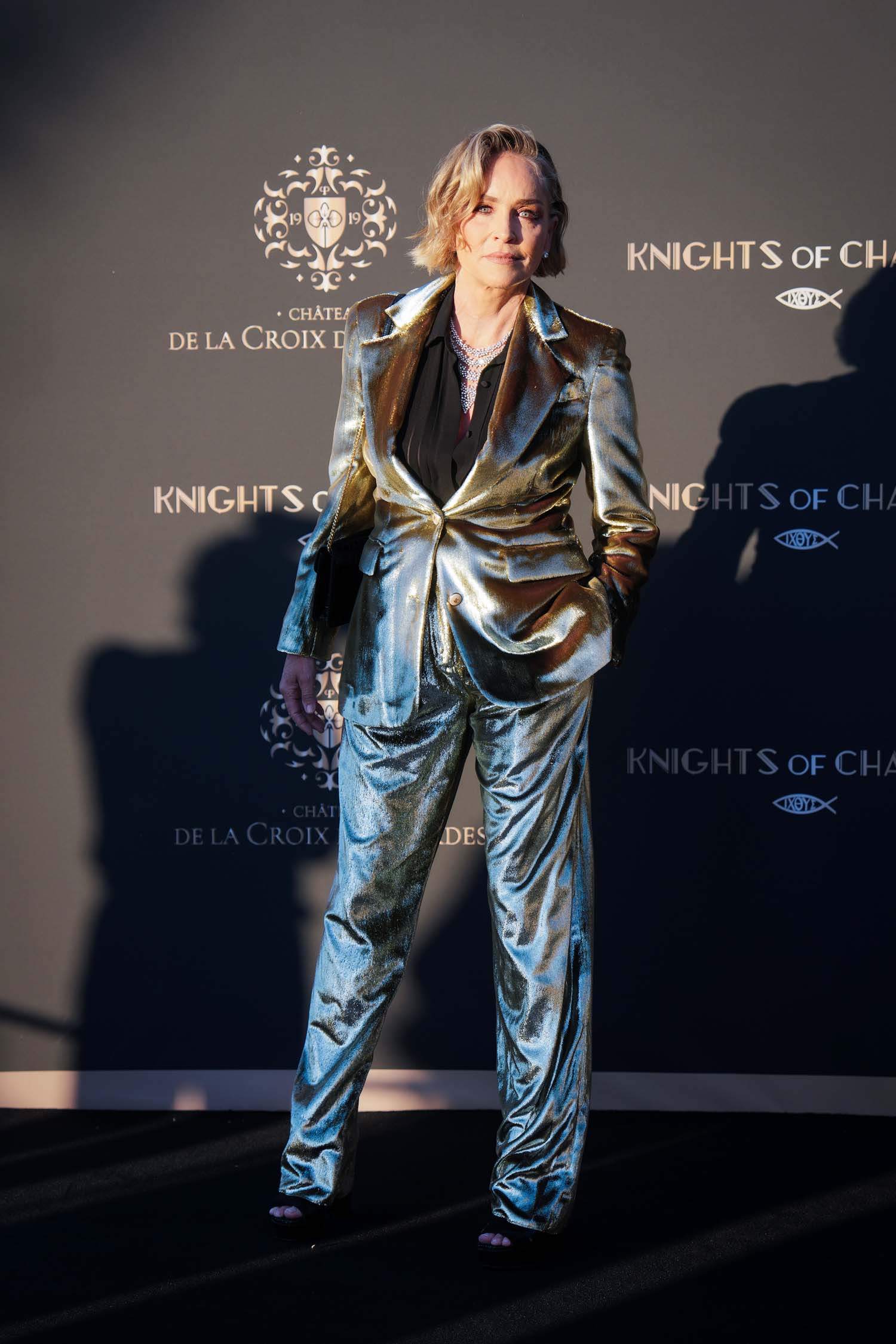 Last Night Saw the Cannes Knights Of Charity Gala AND the Global Gift Gala – Go Fug Yourself