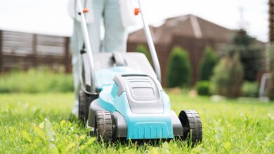 Lawns will be greener and thicker in May if you follow simple mowing method