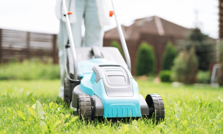 Lawns will be greener and thicker in May if you follow simple mowing method