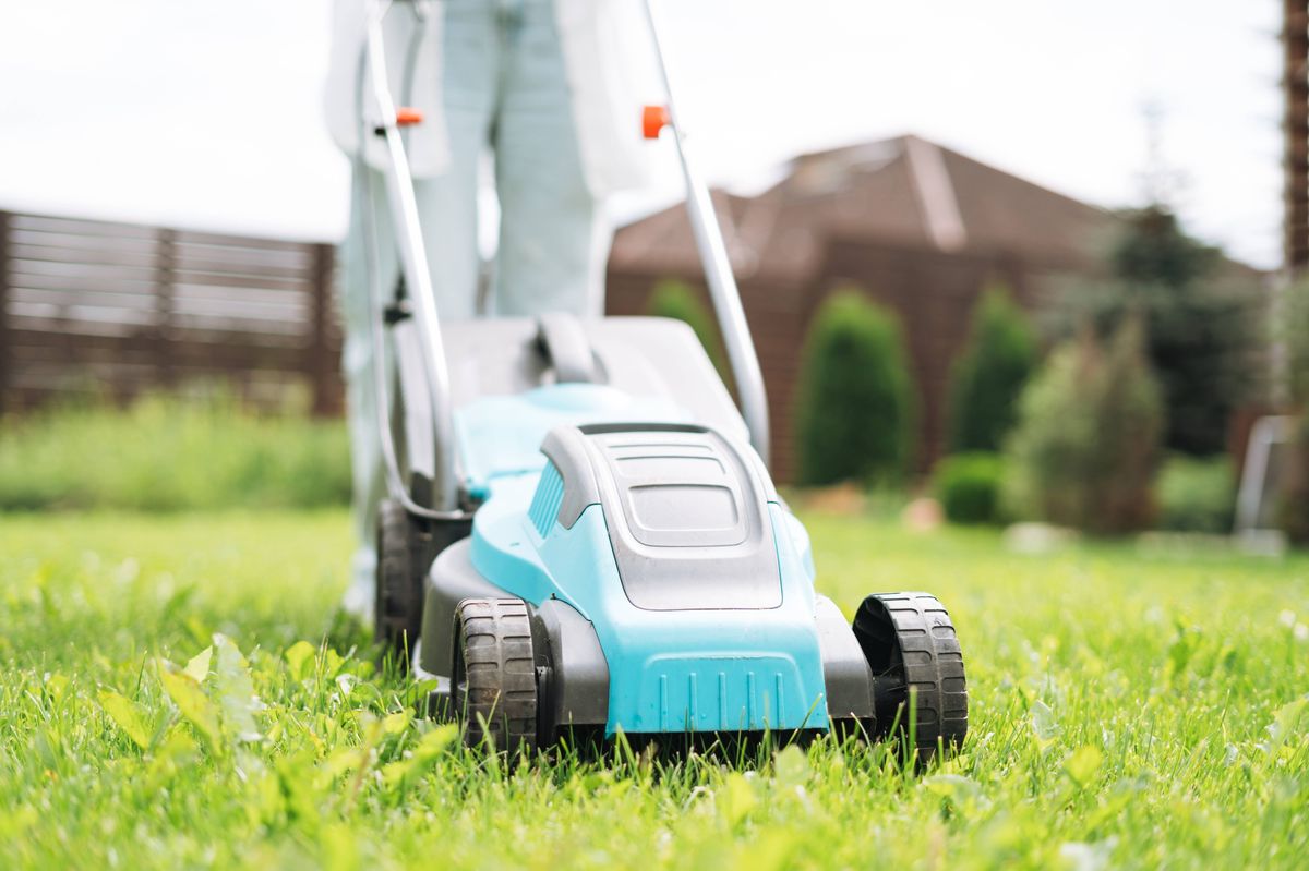 Lawns will be greener and thicker in May if you follow simple mowing method