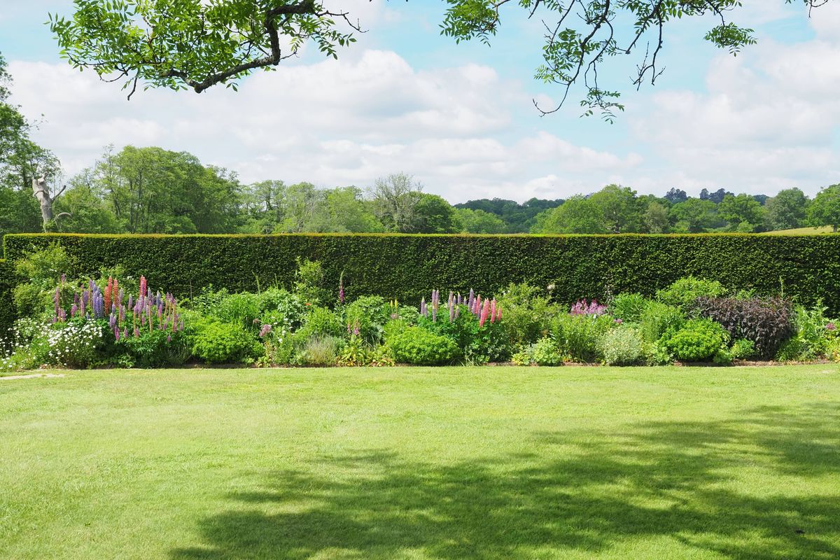 Lawns will grow thicker and greener if you sprinkle one bathroom item on them