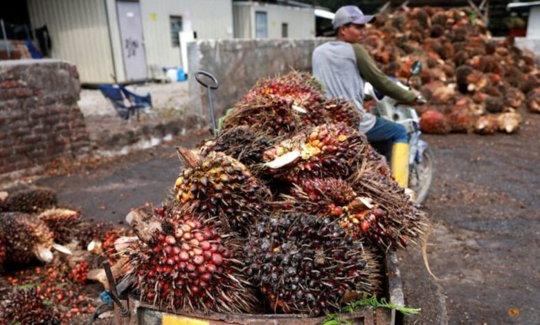 Malaysia’s SD Guthrie cautious on outlook after Q1 profit dips on weak palm prices