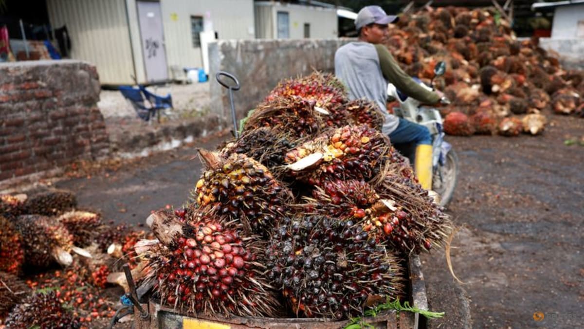 Malaysia’s SD Guthrie cautious on outlook after Q1 profit dips on weak palm prices
