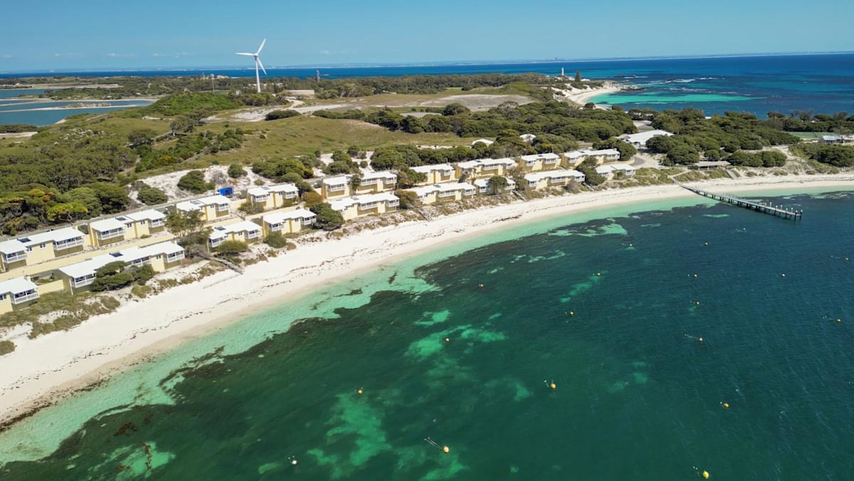 Man killed by great white shark in western Australia