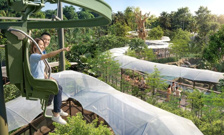 Mandai’s Rainforest Wild Adventure will soft-open second phase from May 20 with more attractions and wildlife