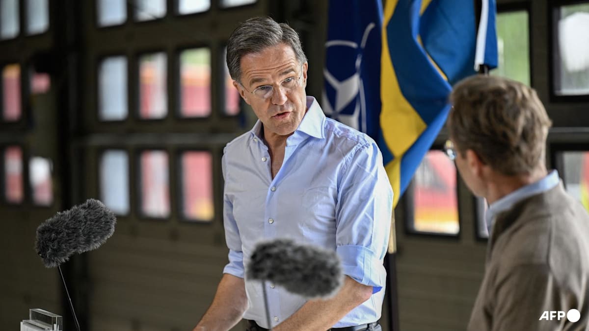 Many NATO members ‘not spending enough’ to support Ukraine: NATO chief