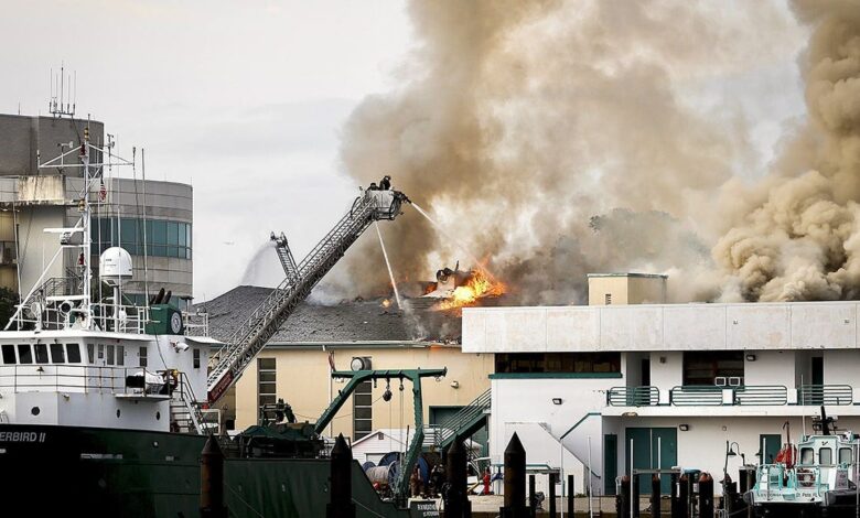 Massive fire destroys University of South Florida laboratory building: ‘Total loss’