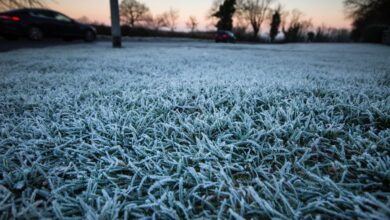 Met Éireann forecast sunny spells but unusually cold weather is on the way