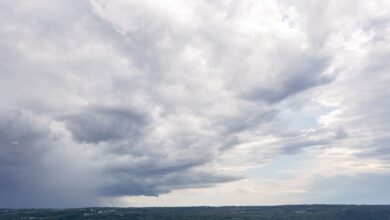 Met Eireann says it will be ‘cool for time of year’ in May weather update