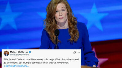 Michigan Dem Sen. candidate McMorrow defends tweet trashing rural America, extolling coastal elites