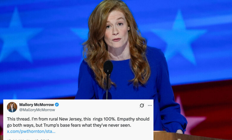 Michigan Dem Sen. candidate McMorrow defends tweet trashing rural America, extolling coastal elites