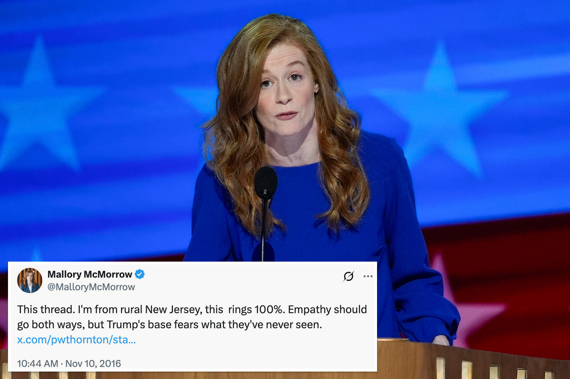 Michigan Dem Sen. candidate McMorrow defends tweet trashing rural America, extolling coastal elites