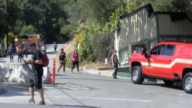 Mt. Wilson trail hiker dies following steep ravine fall