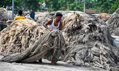 National Jute Board expands ISRO-backed crop monitoring