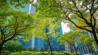 Navigating climate risks in a carbon-constrained world
