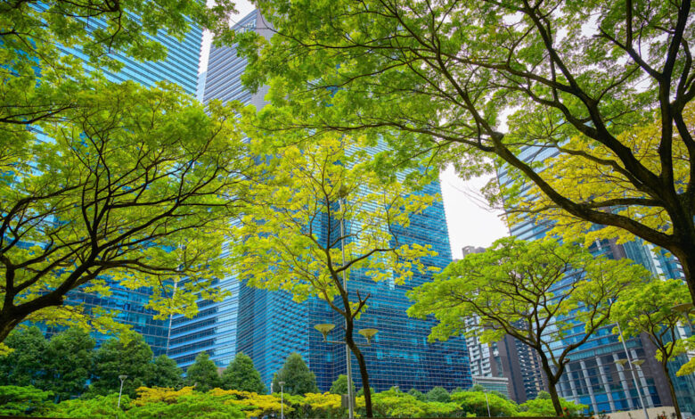 Navigating climate risks in a carbon-constrained world