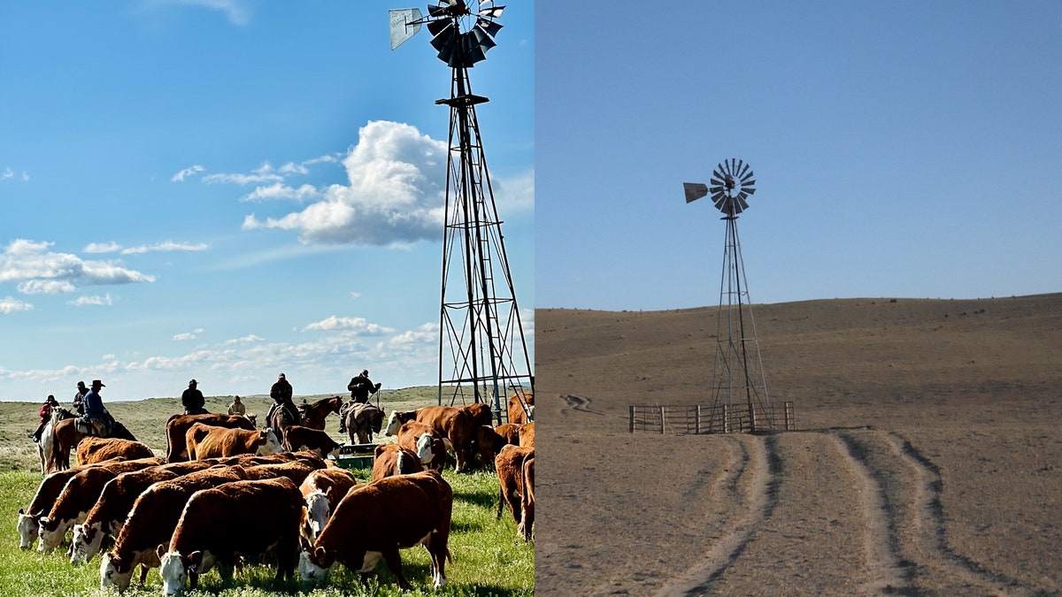 Nebraska ranchers struggle to recover from historic wildfires as drought worsens crisis
