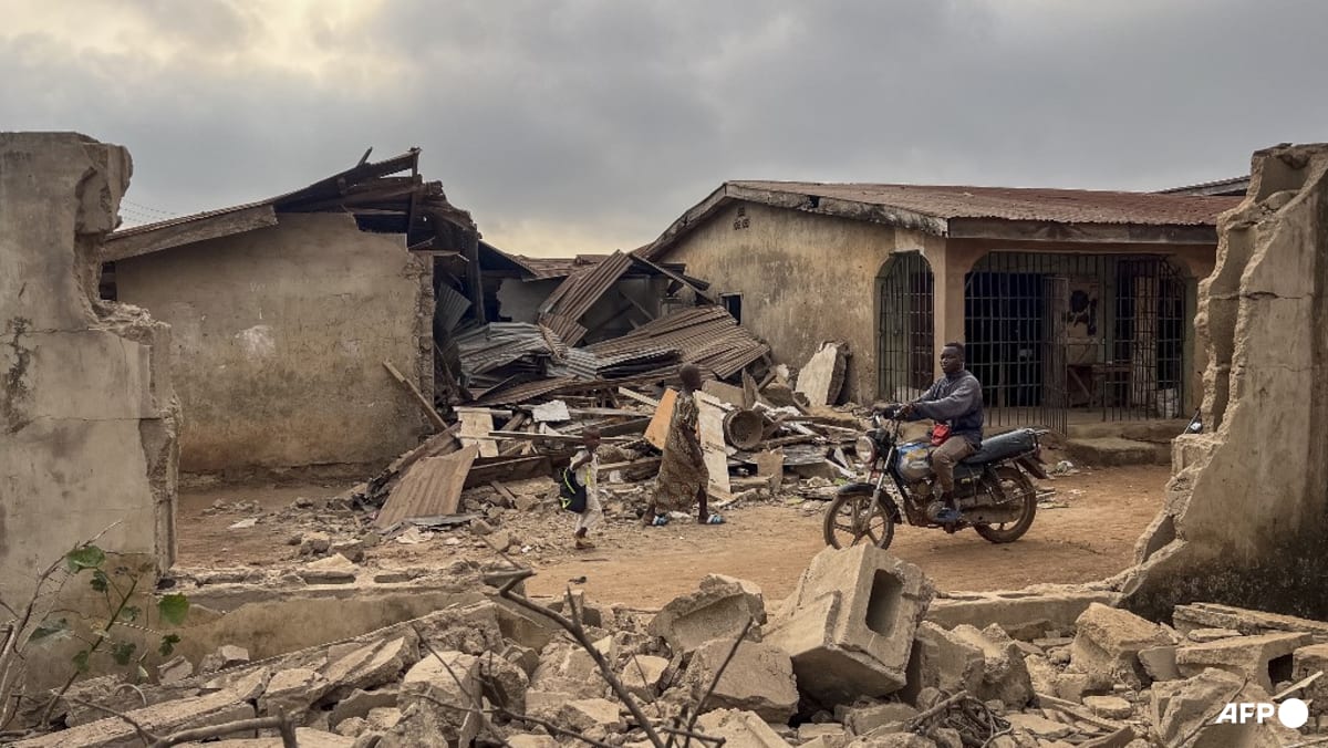 Nigeria, US carry out new strikes on Islamic State in Nigeria
