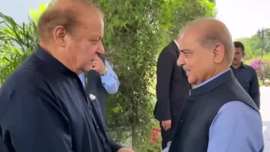 PM Shehbaz calls on Nawaz, discusses political situation in country, steps taken for peace in Middle East