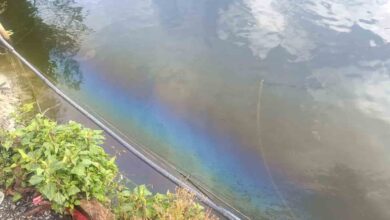 Petroleum from machines leaking into Naini lake, threatens aquatic life – Pioneer Edge | Uttarakhand News in English | Dehradun News Today| News Uttarakhand | Uttarakhand latest news