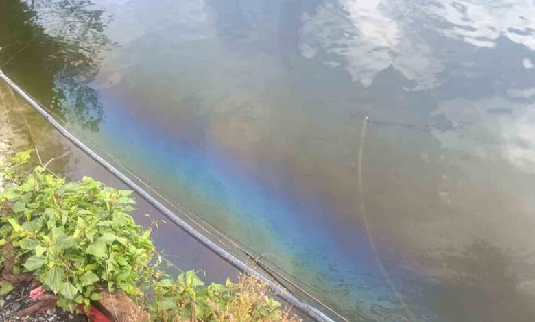 Petroleum from machines leaking into Naini lake, threatens aquatic life – Pioneer Edge | Uttarakhand News in English | Dehradun News Today| News Uttarakhand | Uttarakhand latest news