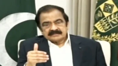 Politics of hate, division doomed to fail: Rana Sanaullah