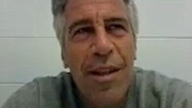Possible Epstein suicide note released