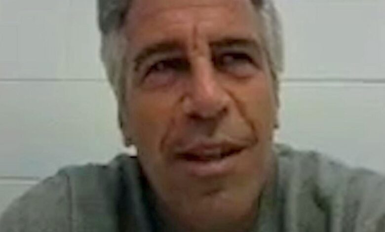 Possible Epstein suicide note released