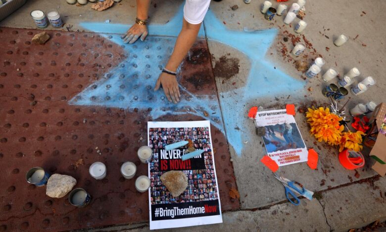 Pro-Palestinian protester may avoid prison time in death of Jewish man