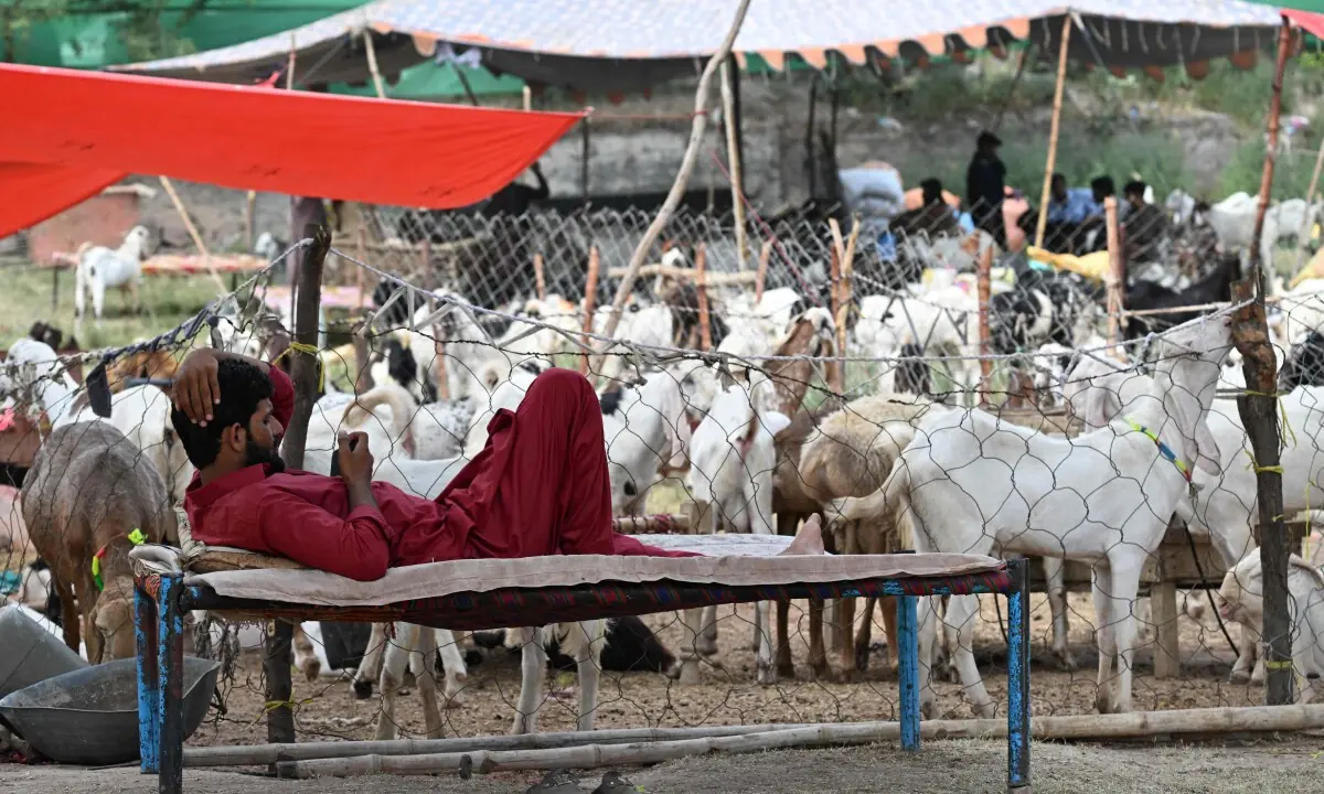 Punjab govt bans activities ‘injurious to public health, peace’ ahead of Eidul Azha