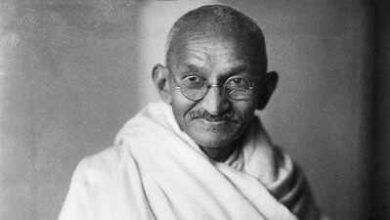 Quote of the day by Mahatma Gandhi: “The greatness of a nation and its moral progress can be judged by the way its animals are treated.” | World News – The Times of India