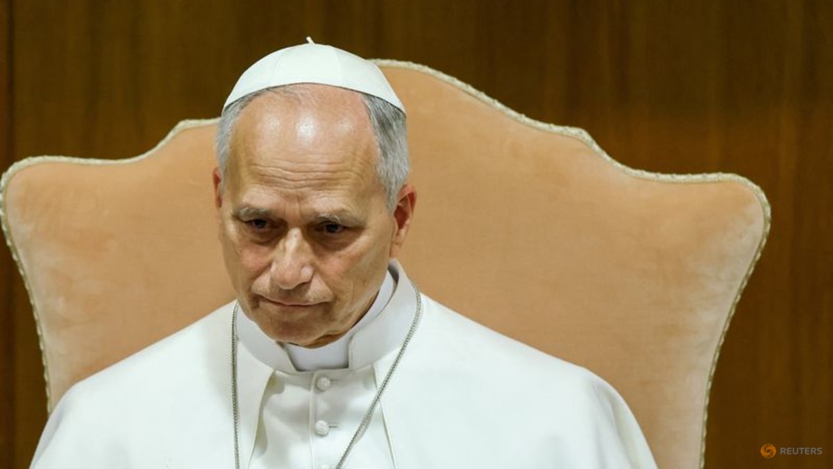Quotes from Pope Leo’s document warning world of AI risks