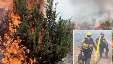 Rare ‘ash devil’ spotted during SoCal wildfire