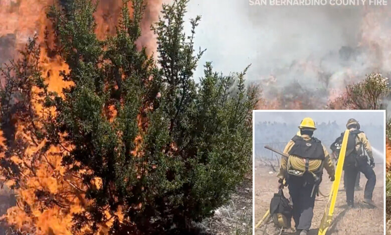 Rare ‘ash devil’ spotted during SoCal wildfire