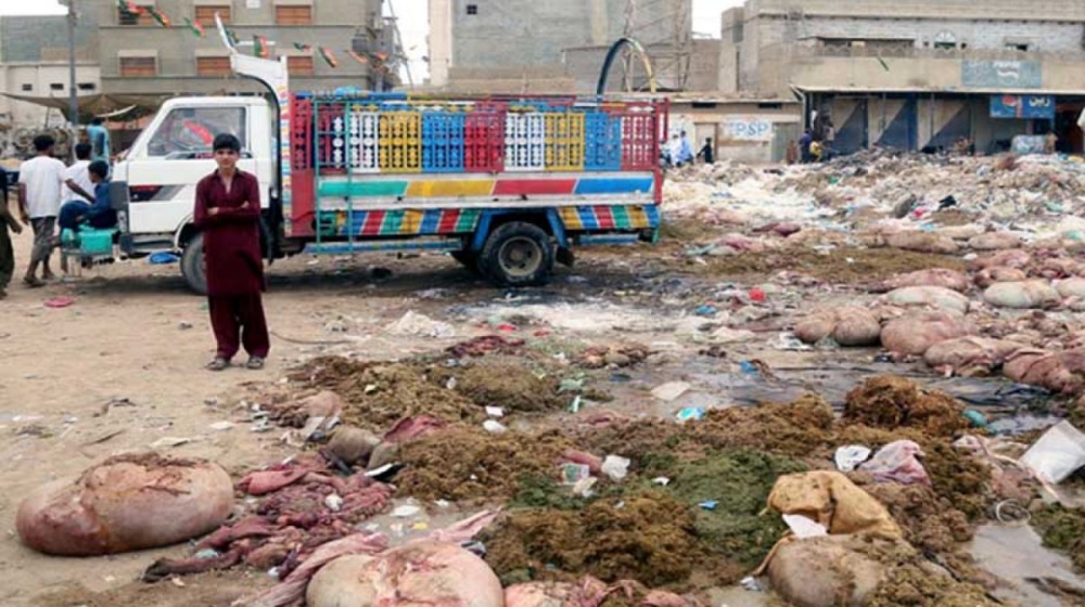 Rawalpindi Waste Management Launches Massive Eid Waste Collection Operation