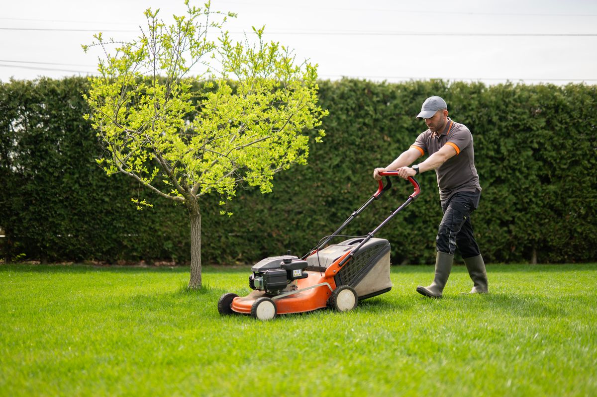Royal gardener shares the secret to growing perfect grass and getting rid of patchy spots